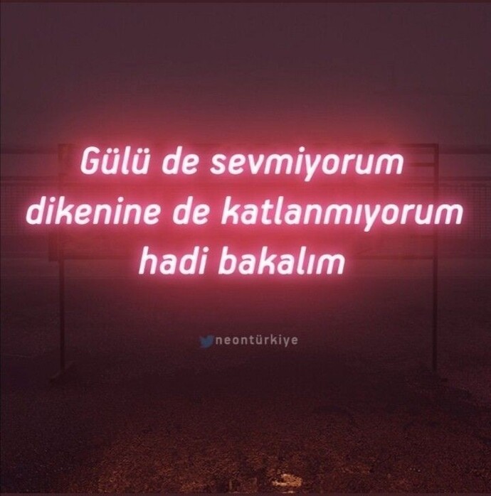 Gülü seven dikenine katlanır mı?