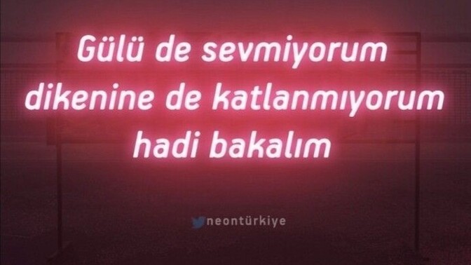 Gülü seven dikenine katlanır mı?