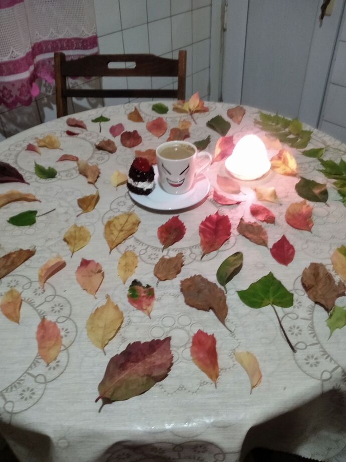 Sonbahar konseptli kahve sunumum nasıl olmuş 🍁🍂🍁🍂?