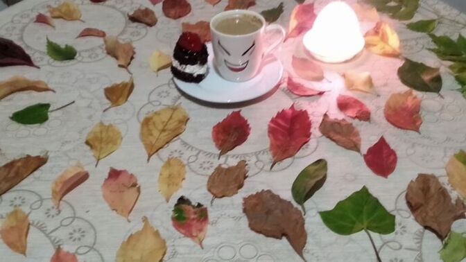 Sonbahar konseptli kahve sunumum nasıl olmuş 🍁🍂🍁🍂?