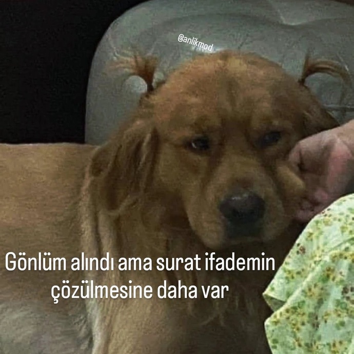 Sevgiliniz veya flörtünüz gönlünüzü ne yaparsa daha kolay alabilir?