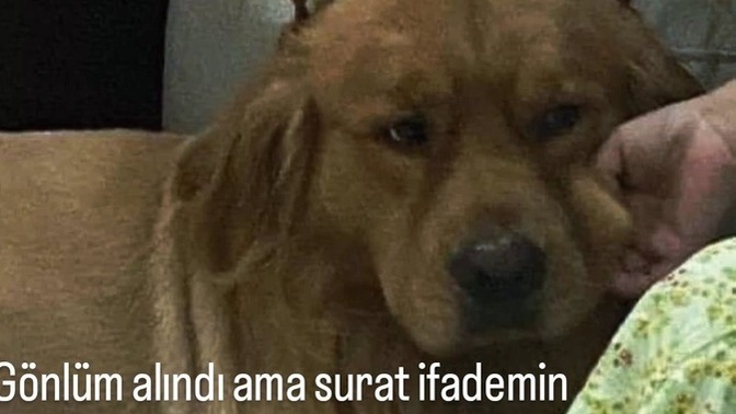 Sevgiliniz veya flörtünüz gönlünüzü ne yaparsa daha kolay alabilir?
