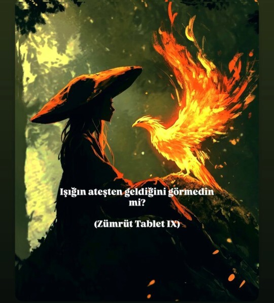 Halanızın en sevdiği şarkıyı tahmin edeyim mi?