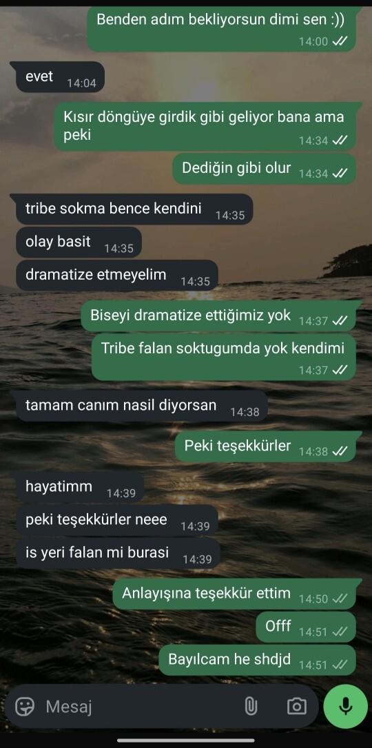 Böyle bi sevgiliniz olsa ne yaparsınız?