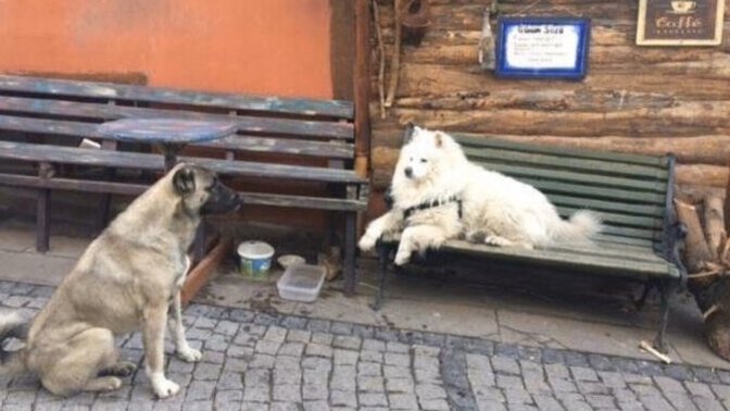 Sizden alt klasmanda biriyle aşk yaşar mısınız?