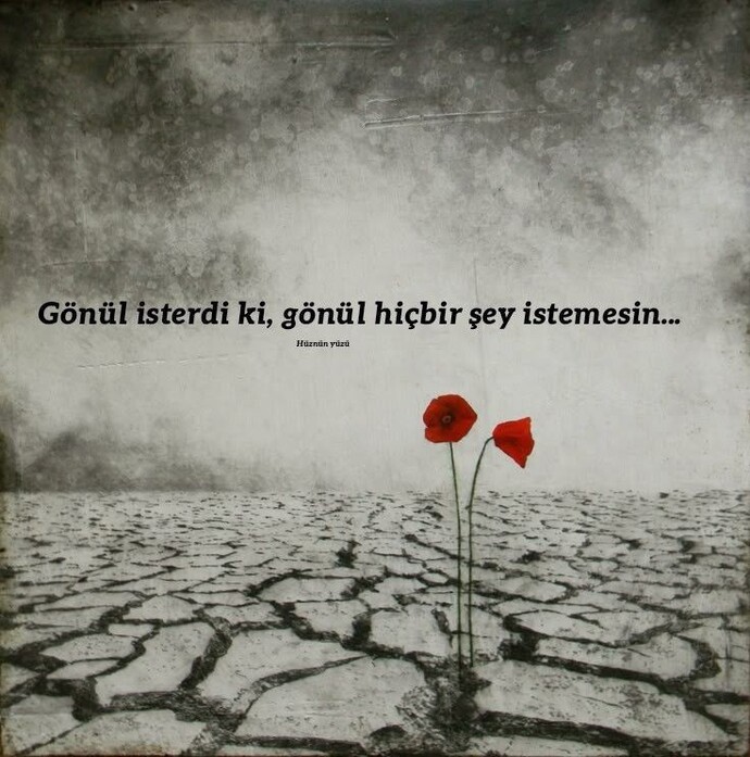 Gönül ne isterdi?