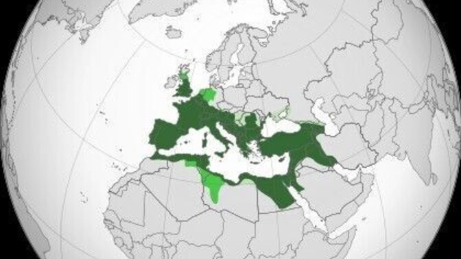 Bu haritaların hangi tarihi devletlere ait olduğunu doğru bir şekilde söyleyecek babayiğit var mı?
