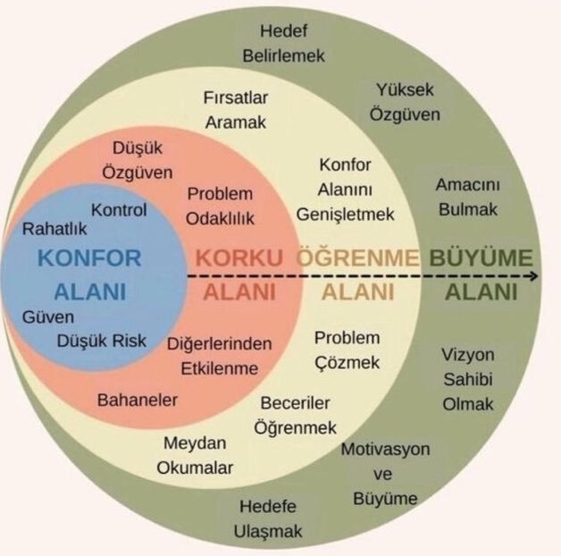 Hangi alandasınız?