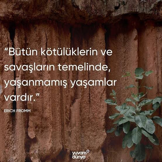 Hayatınızı daha çok kendi isteklerinize göre mi yaşıyorsunuz, yoksa elalem ne der düşüncesi mi yön veriyor?