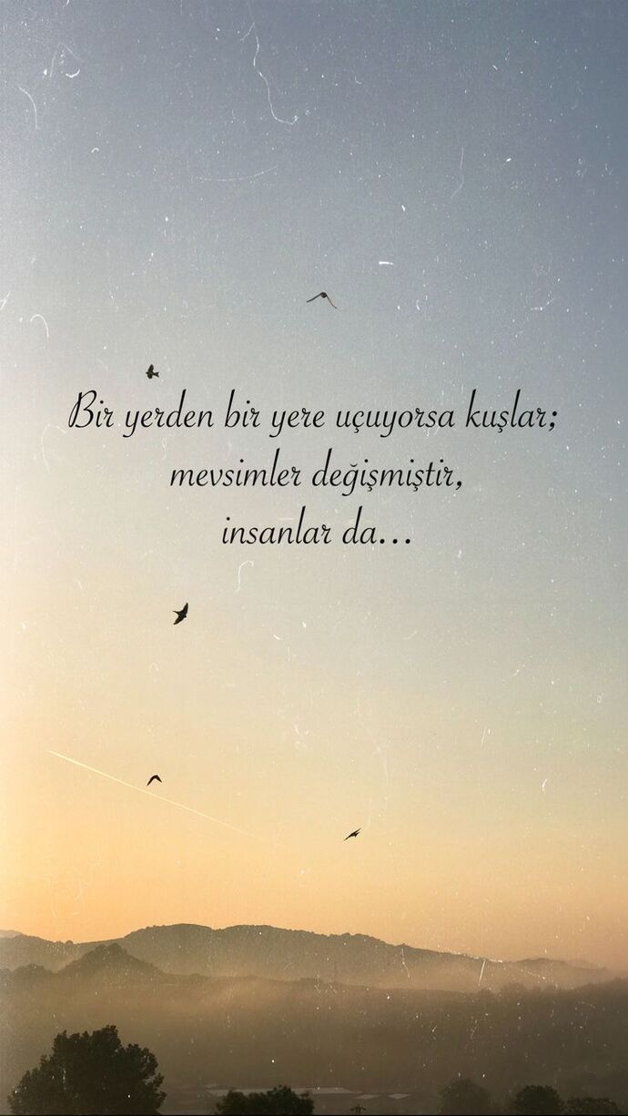Bana memleketinizden bir atasözü söyleyebilir misiniz?