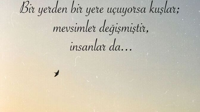 Bana memleketinizden bir atasözü söyleyebilir misiniz?