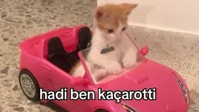 Ben gidiyorum, bişey diyomusunuz?