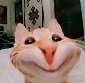 SSevdiğiniz insan mı çok, sevmediğiniz insan mı 🍭🎀?