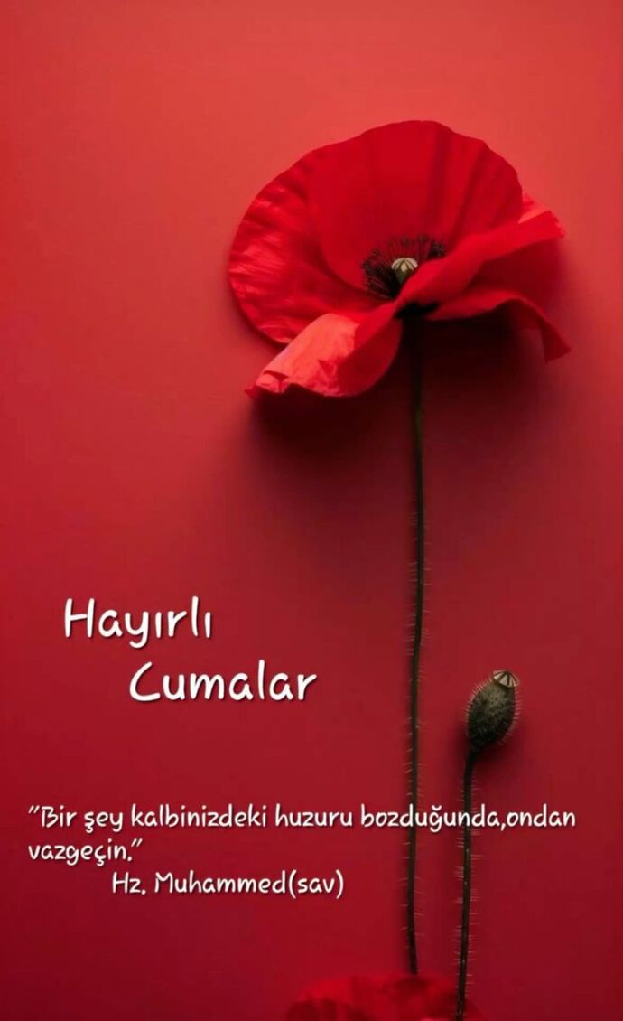 Hayırlı cumalar mesajı gönderildi mi?