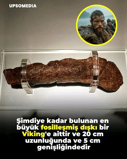 Dünyanın en büyük fosilleşmiş dışkısı hakkında bilginiz var mı?