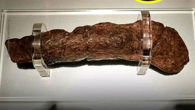 Dünyanın en büyük fosilleşmiş dışkısı hakkında bilginiz var mı?
