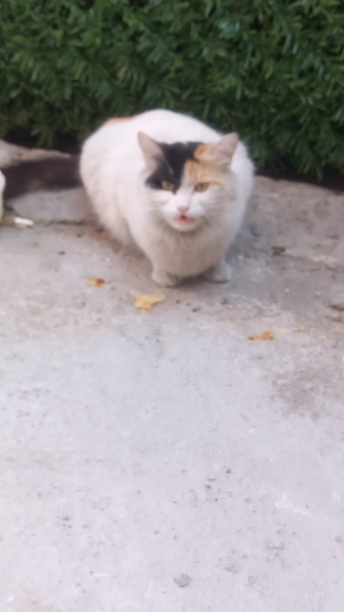 Son flört buluşmanız nasıl geçti?