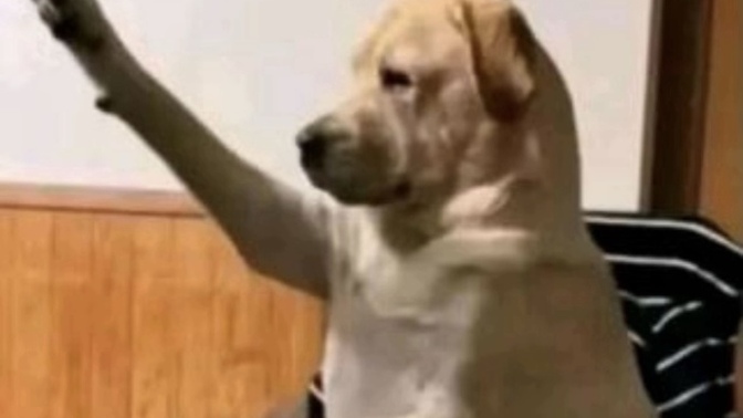 Sana çok bakan birinden rahatsız olur musun?