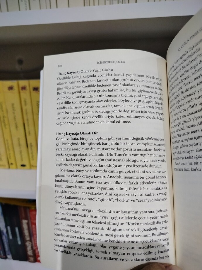 Kitabın bu iki sayfası hakkında düşünceleriniz neler?