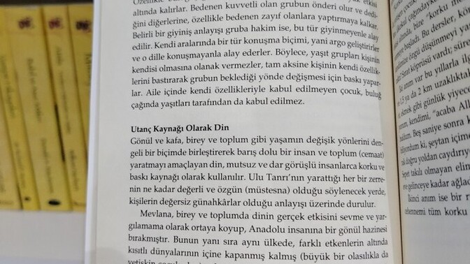 Kitabın bu iki sayfası hakkında düşünceleriniz neler?