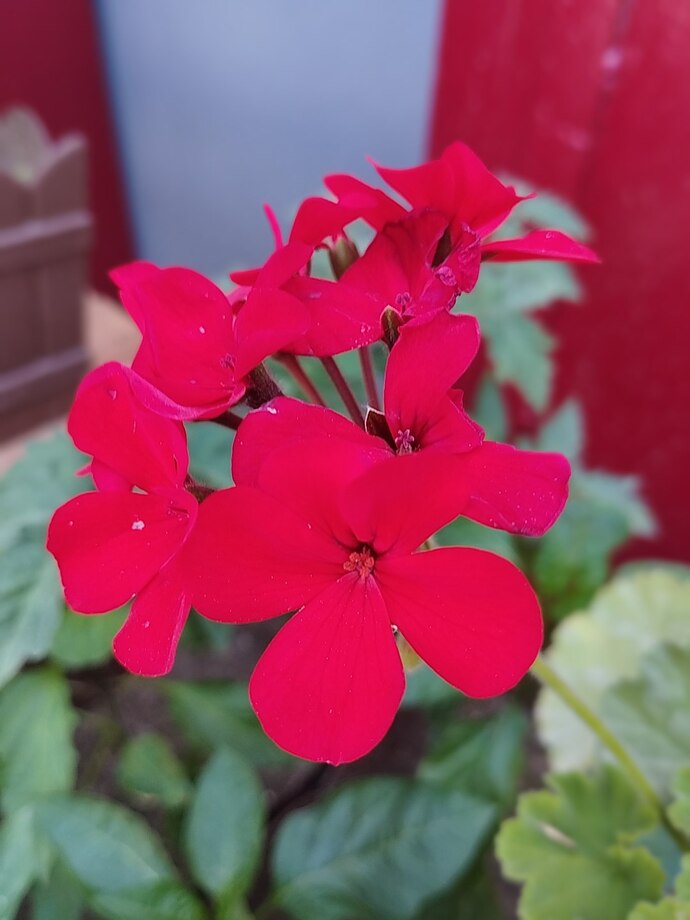 Gezerken fotoğraf çekme huyunuz var mı sizinde?