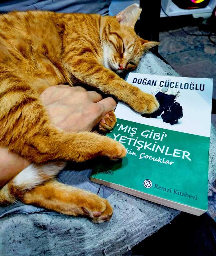 Alıntım, görseldeki kitaptan. Kedim Miaya bu kitabı çok okudum :)