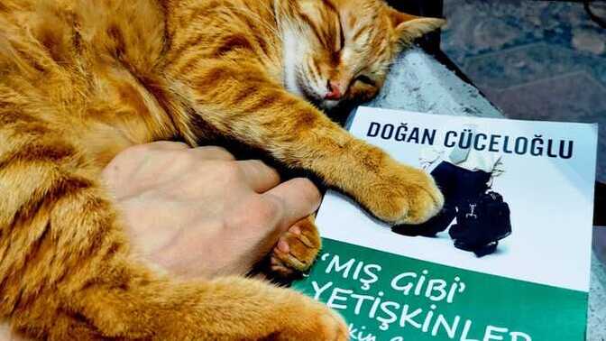 Okuduğun kitaplar arasında seni en çok etkileyen cümle hangisiydi?