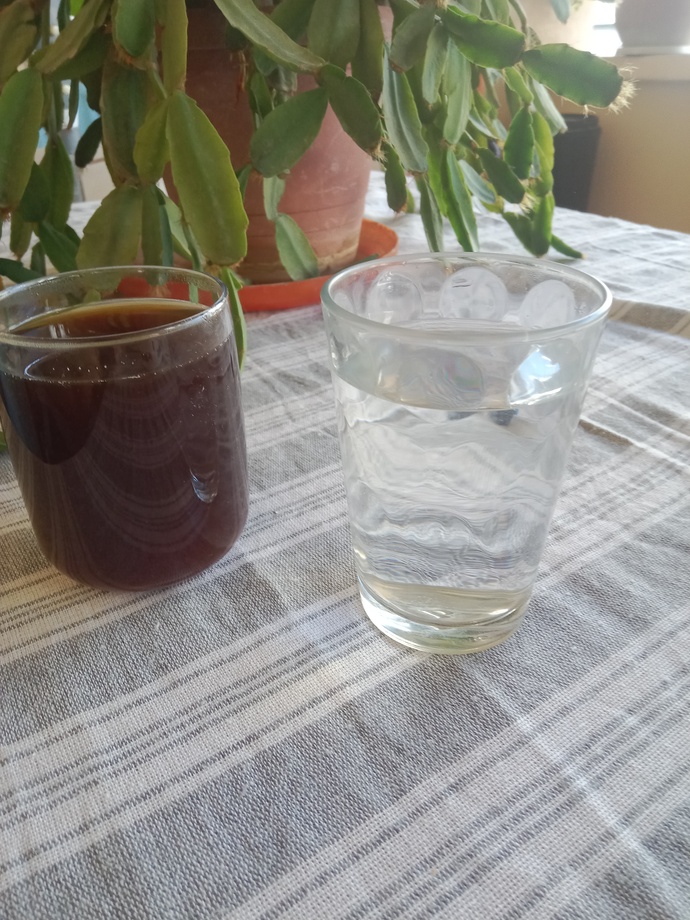 Evimizde içtiğimiz kahve gibisi var mı?