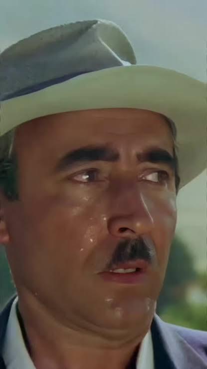 AArkadaşlar , sizce profildeki kedi nasịl?