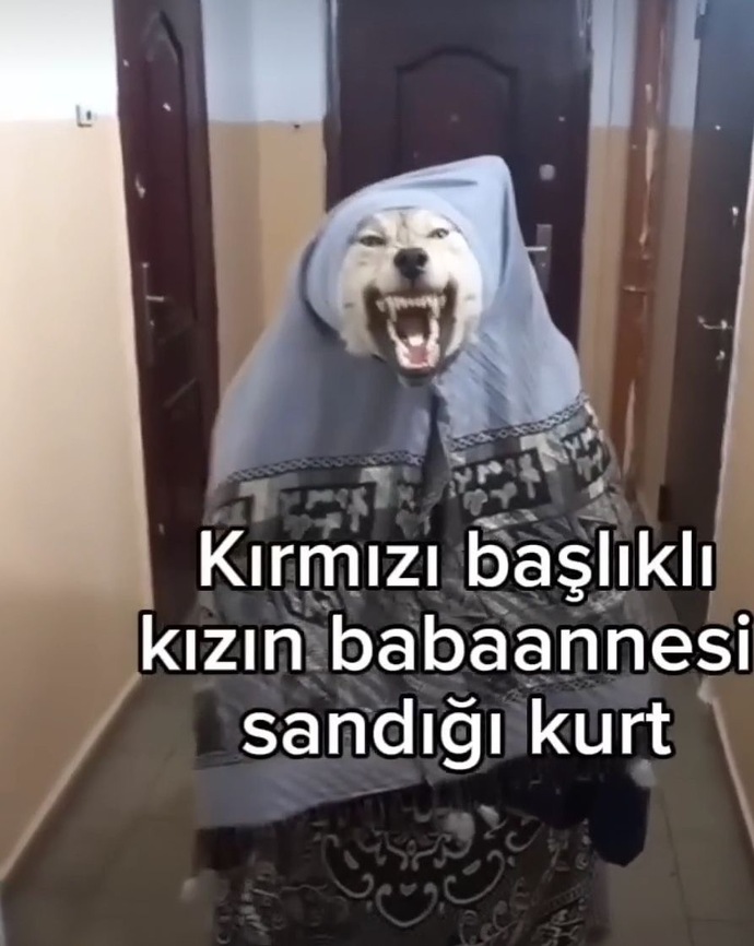 Masalda bile mantık ararken benim haller