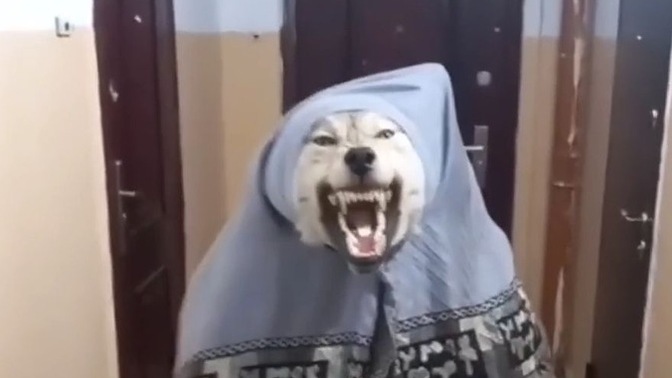 Masallarda saçma bulduğunuz şeyler var mı?