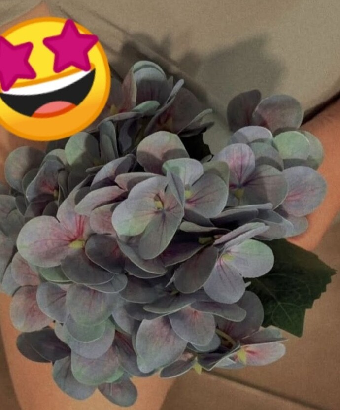 💃🌿