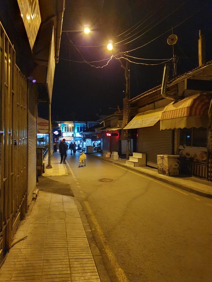 Telefon kameranızın, gece performansından memnun musunuz?