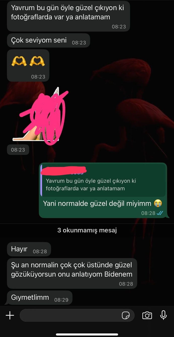 Normal de çok güzel değilsin mi demek istiyor benmi yanlış anlıyorum ya?