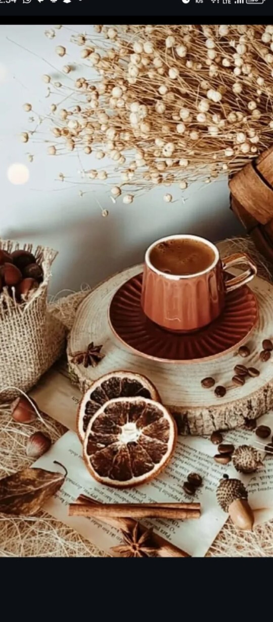 Tarçın kabuğundan kahve yapsam içer miydiniz?