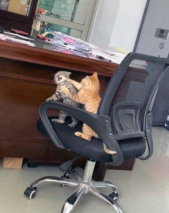 Sevgiliniz, sizin için başkasıyla kavga etse, bu olay sizi sevgilinize daha fazla mı çeker, iter mi?