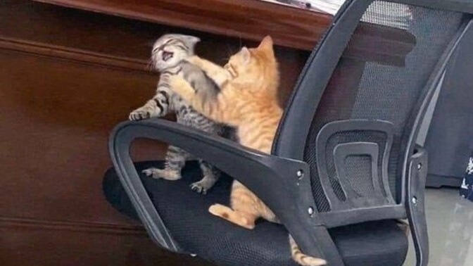 Sevgiliniz, sizin için başkasıyla kavga etse, bu olay sizi sevgilinize daha fazla mı çeker, iter mi?
