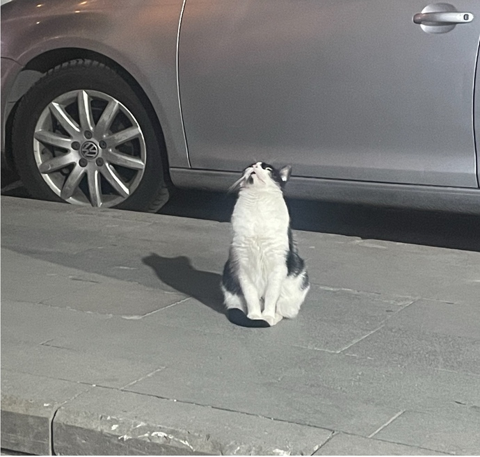 Camında beklediğin, yolunu gözlediğin bir aşık oldu mu hiç?
