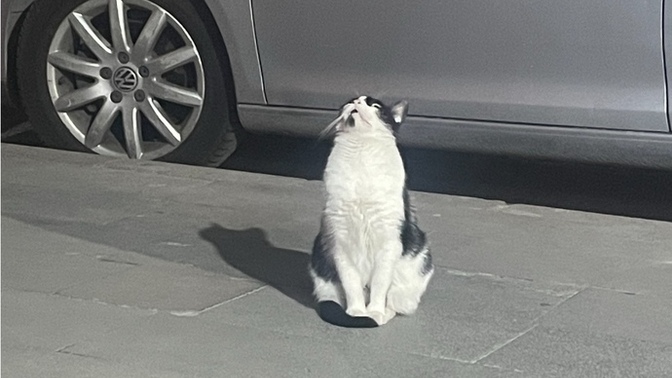 Camında beklediğin, yolunu gözlediğin bir aşık oldu mu hiç?