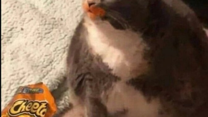 Çok rağbet gören biri sizin de ilginizi çeker mi😴?