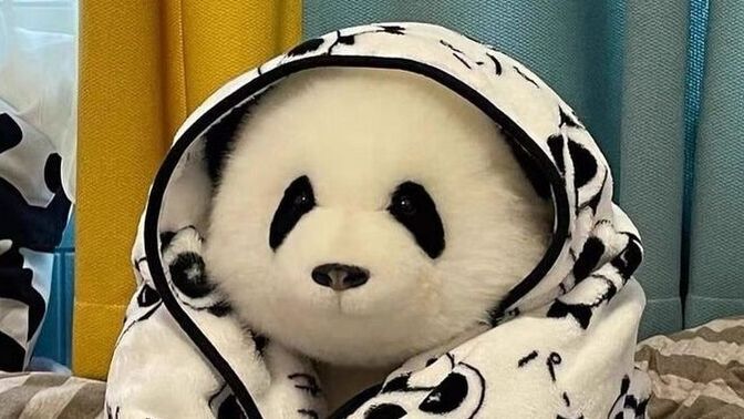 Bir hayvan olarak dünyaya gelebilme şansınız olsaydı hangi hayvan olmak isterdiniz?