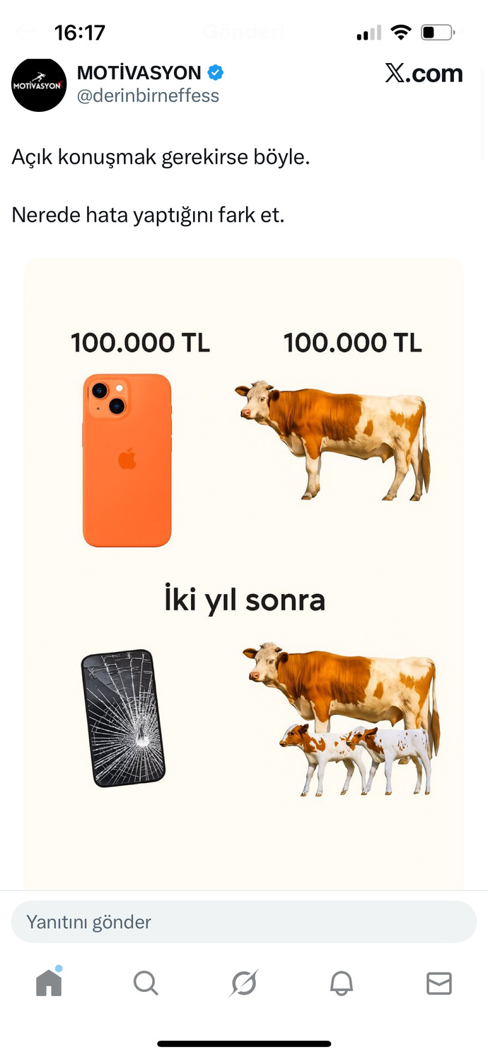 Iphone mu yoksa inek mi?🤣 siz hangisini tercih ederdiniz?