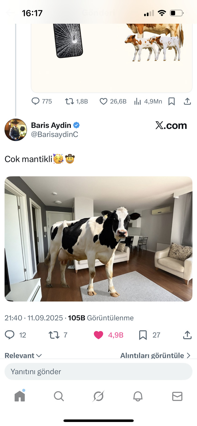 Iphone mu yoksa inek mi?🤣 siz hangisini tercih ederdiniz?