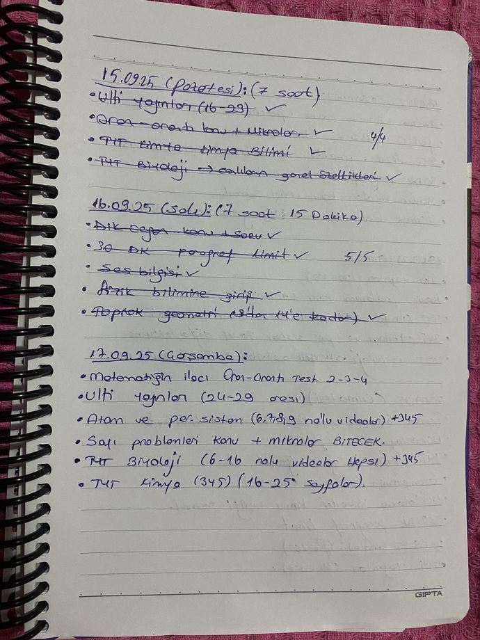 Mezun öğrenci olarak kendime program hazırladım sizce bu program düzeni mantıklı mı?