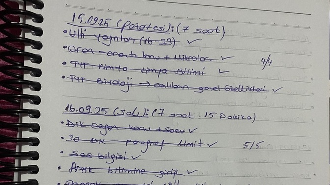 Mezun öğrenci olarak kendime program hazırladım sizce bu program düzeni mantıklı mı?