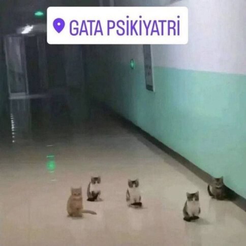 Tam şu anda napiyon🥲?