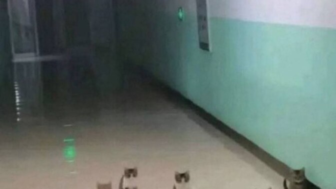 Tam şu anda napiyon🥲?