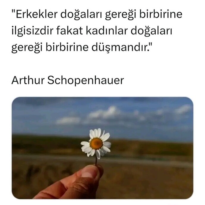 Kadınlar birbirine niye düşmandır?