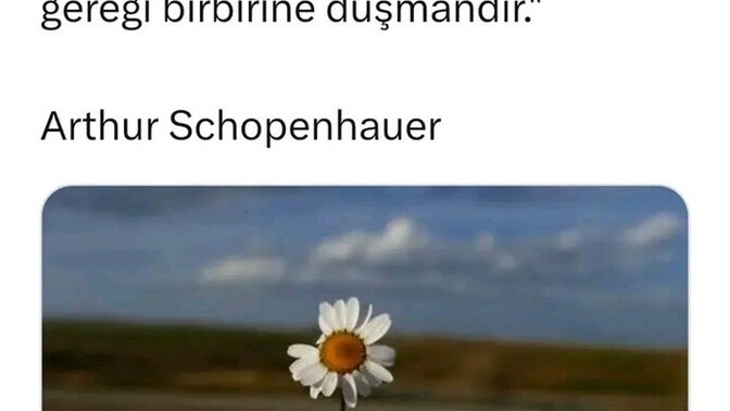 Kadınlar birbirine niye düşmandır?