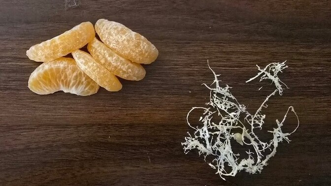 Mandalina yerken nasıl yersiniz?